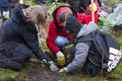 Fotos_Pflanzaktion_20191108_04