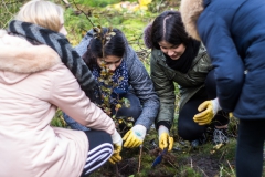 Fotos_Pflanzaktion_20191108_06