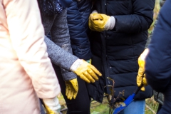 Fotos_Pflanzaktion_20191108_07