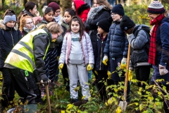 Fotos_Pflanzaktion_20191108_08