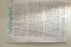 Projekttagebuch 2
