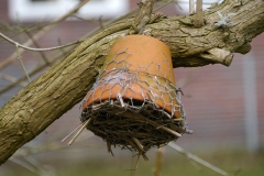 Insektenhotel Fritz-Schumacher-Schule