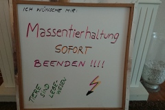 Colin Burmeister, Klasse 8d der StS Bergedorf