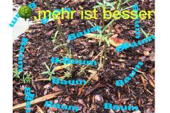 Pia Ludwig, Klasse 8d der StS Bergedorf